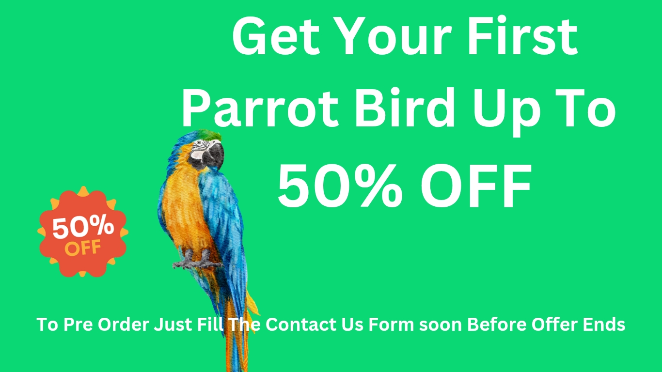 Copy of 50 discount _20250610_070116_0000